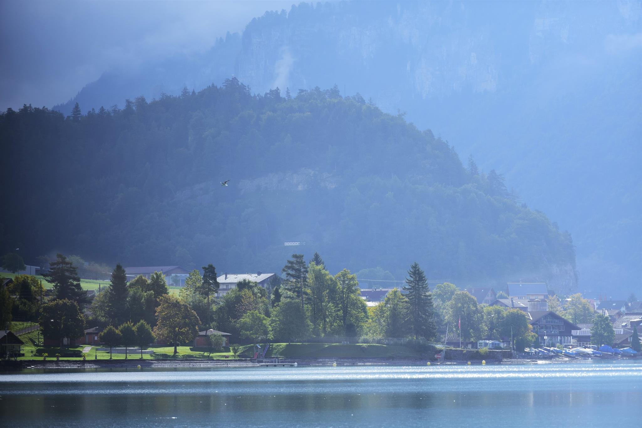 45006804_2110779112584409_1477960905831481344_o