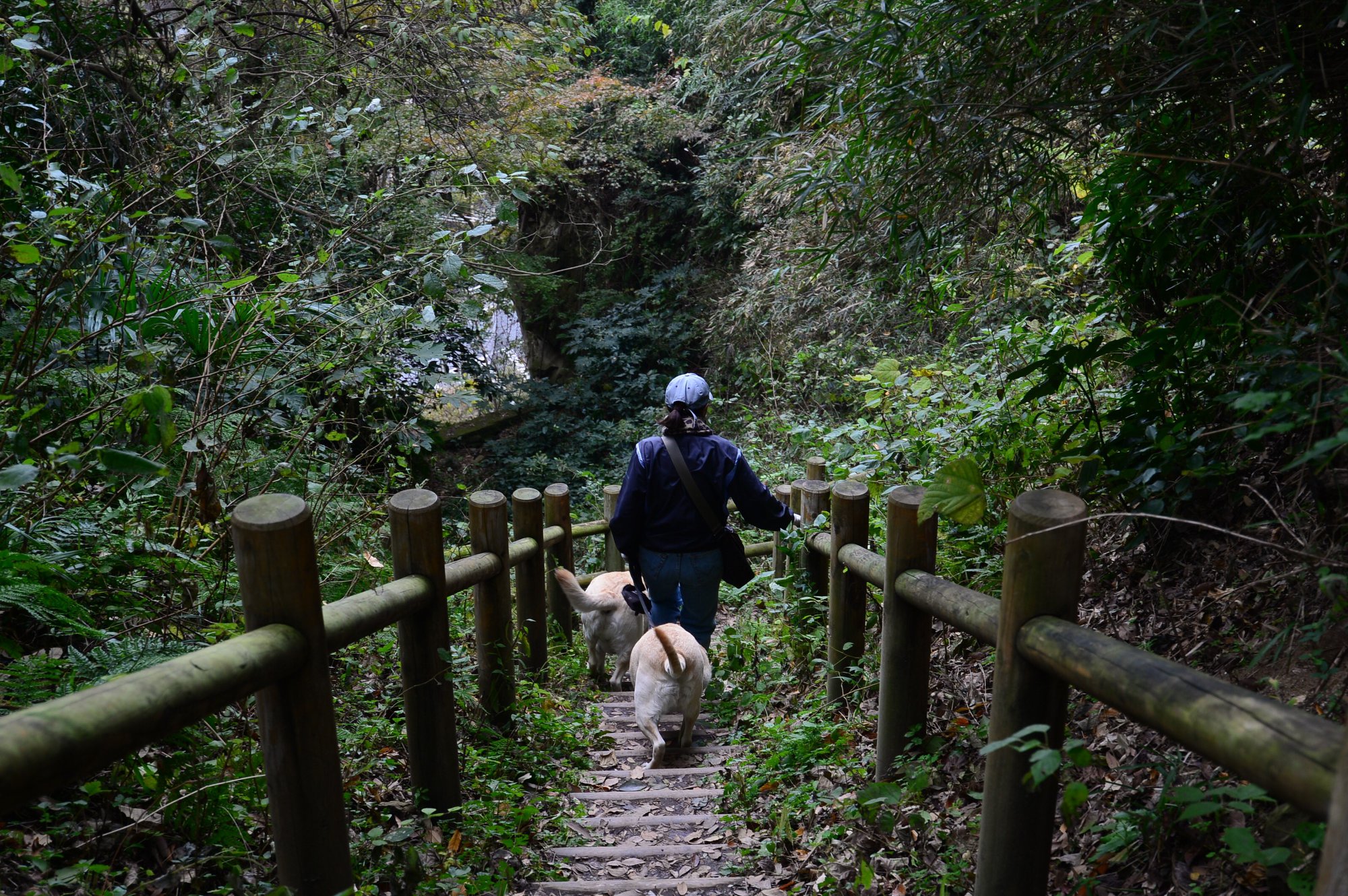 45006868_2110157459313241_6902052125874847744_o