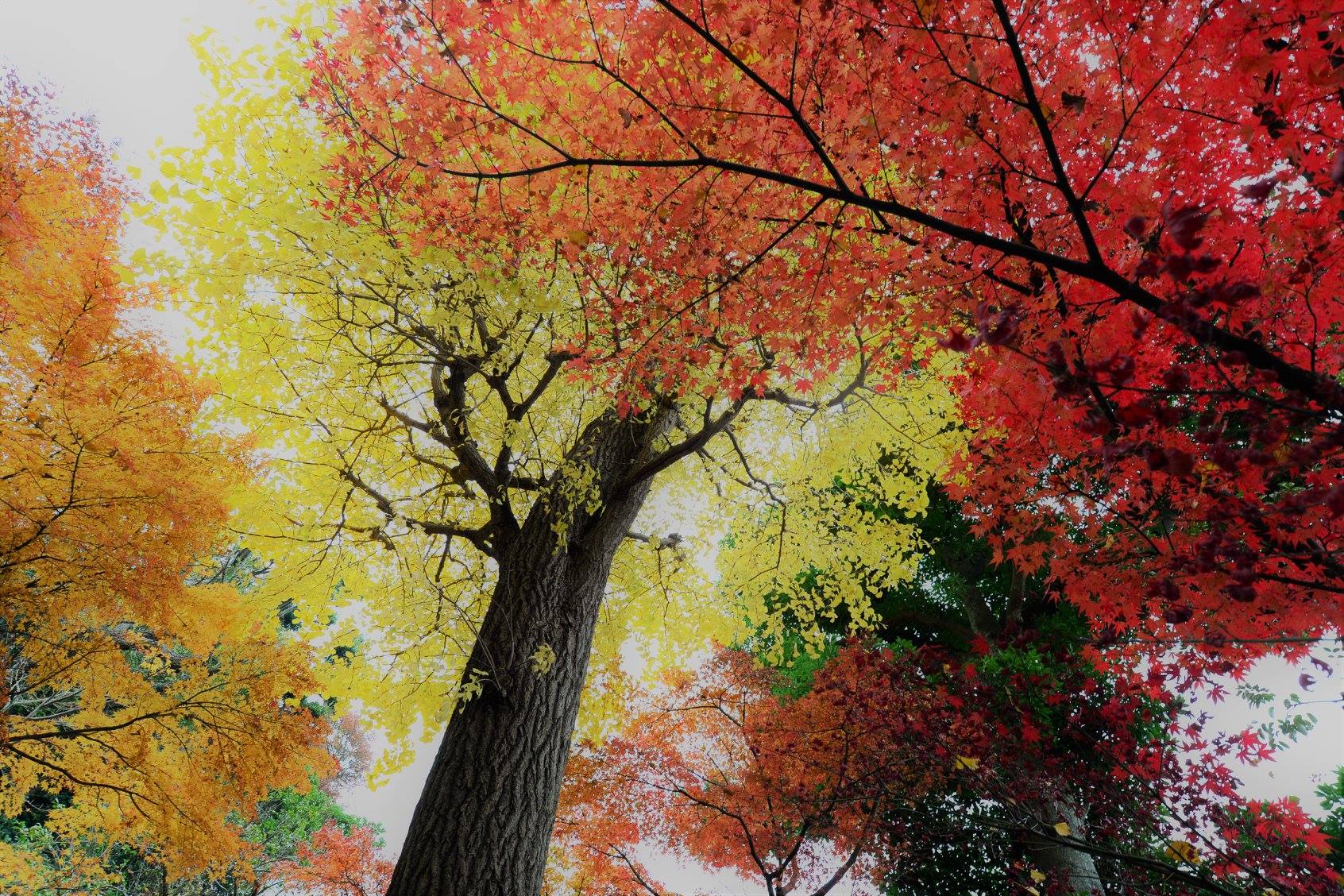 45029997_2110157109313276_1091555501507870720_o