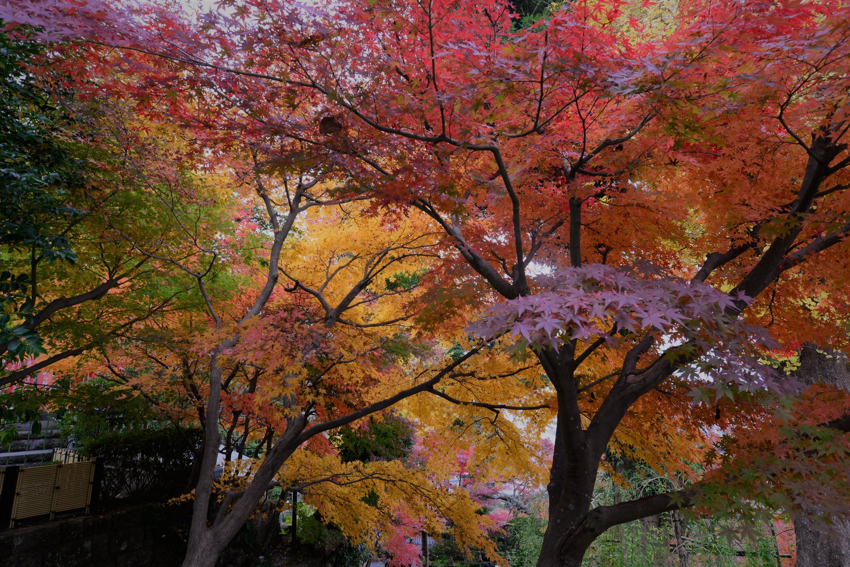 45030850_2110157265979927_3878587976342568960_o