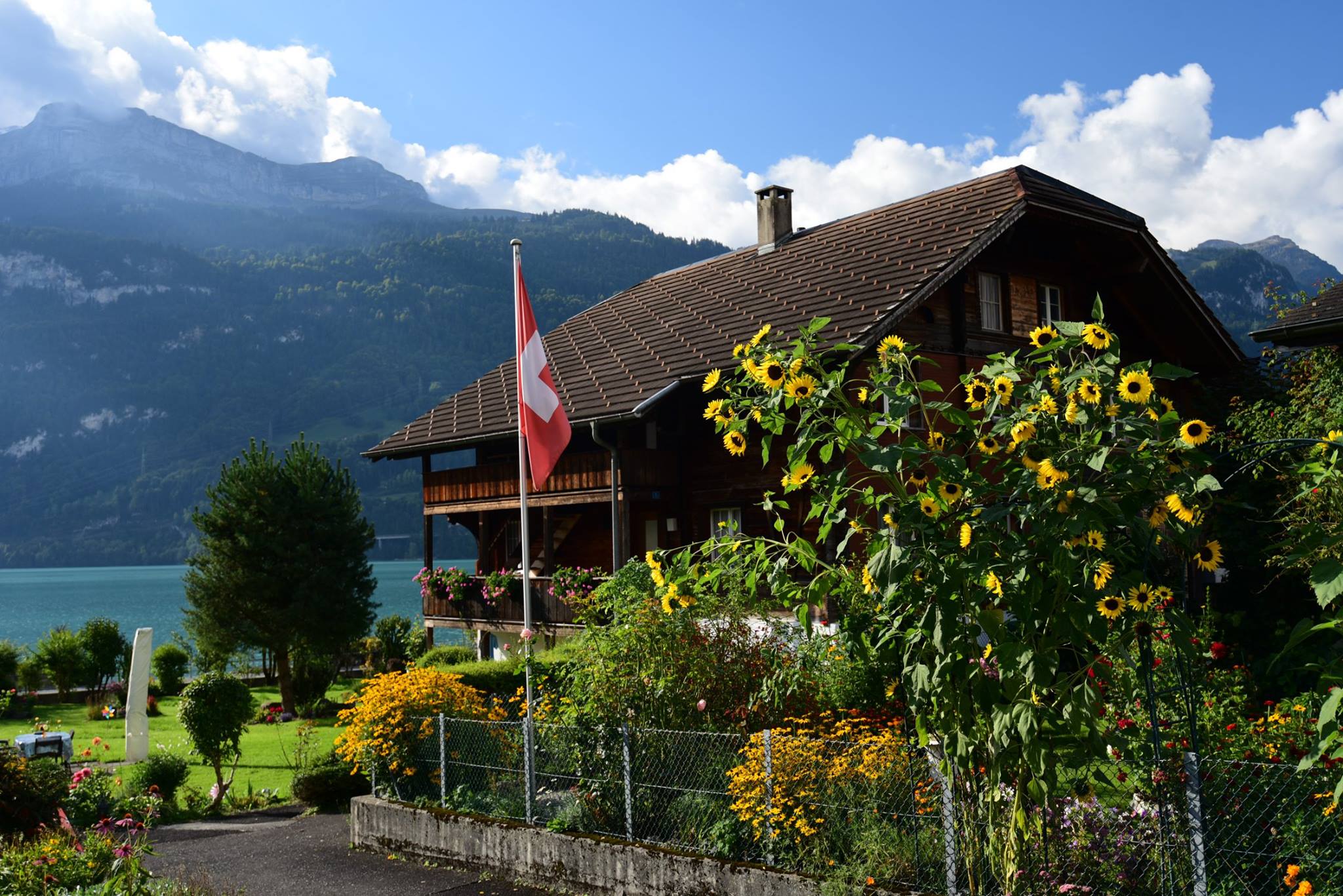 45049788_2110779495917704_2201617033546694656_o