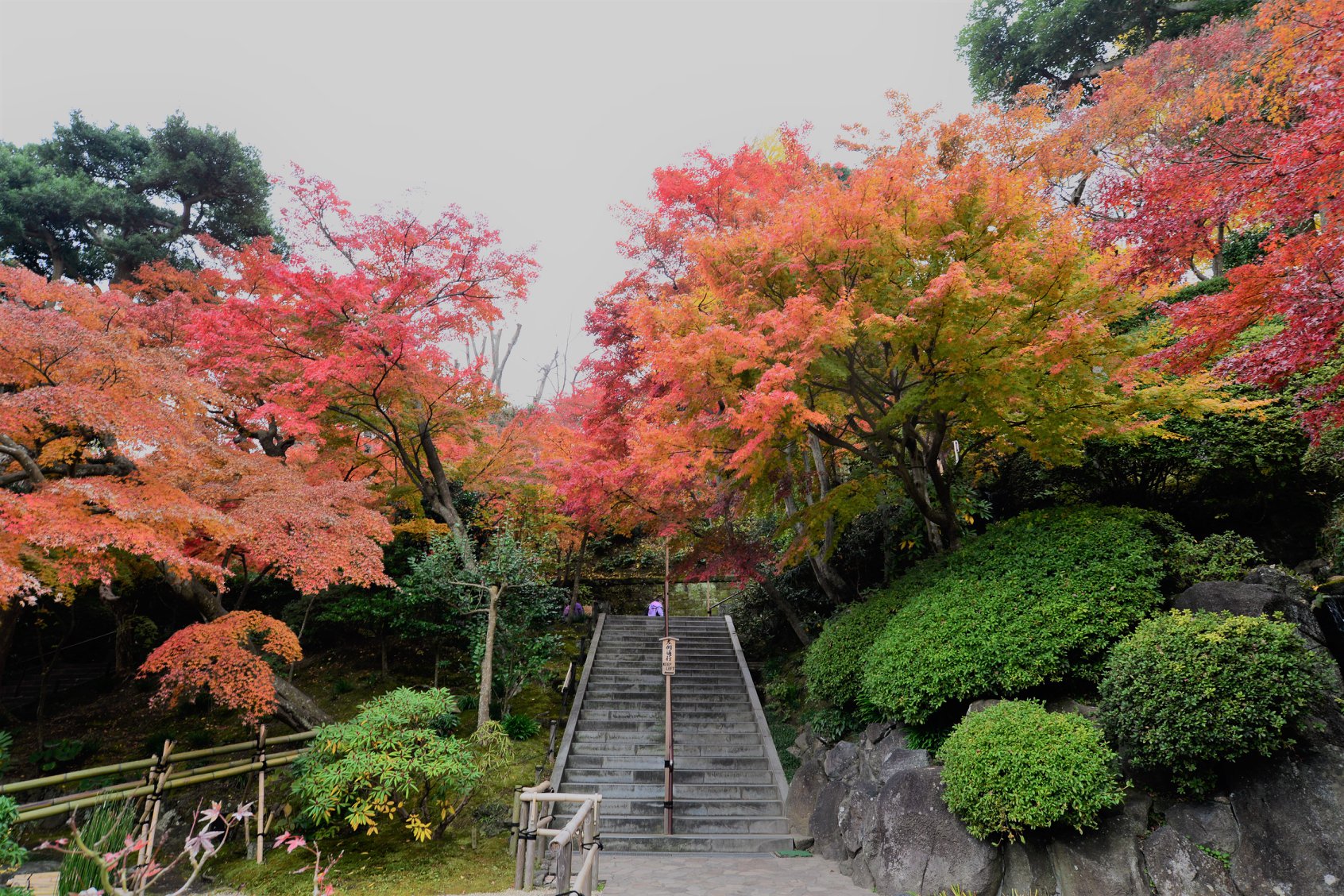 45061465_2110157332646587_5852378903464640512_o