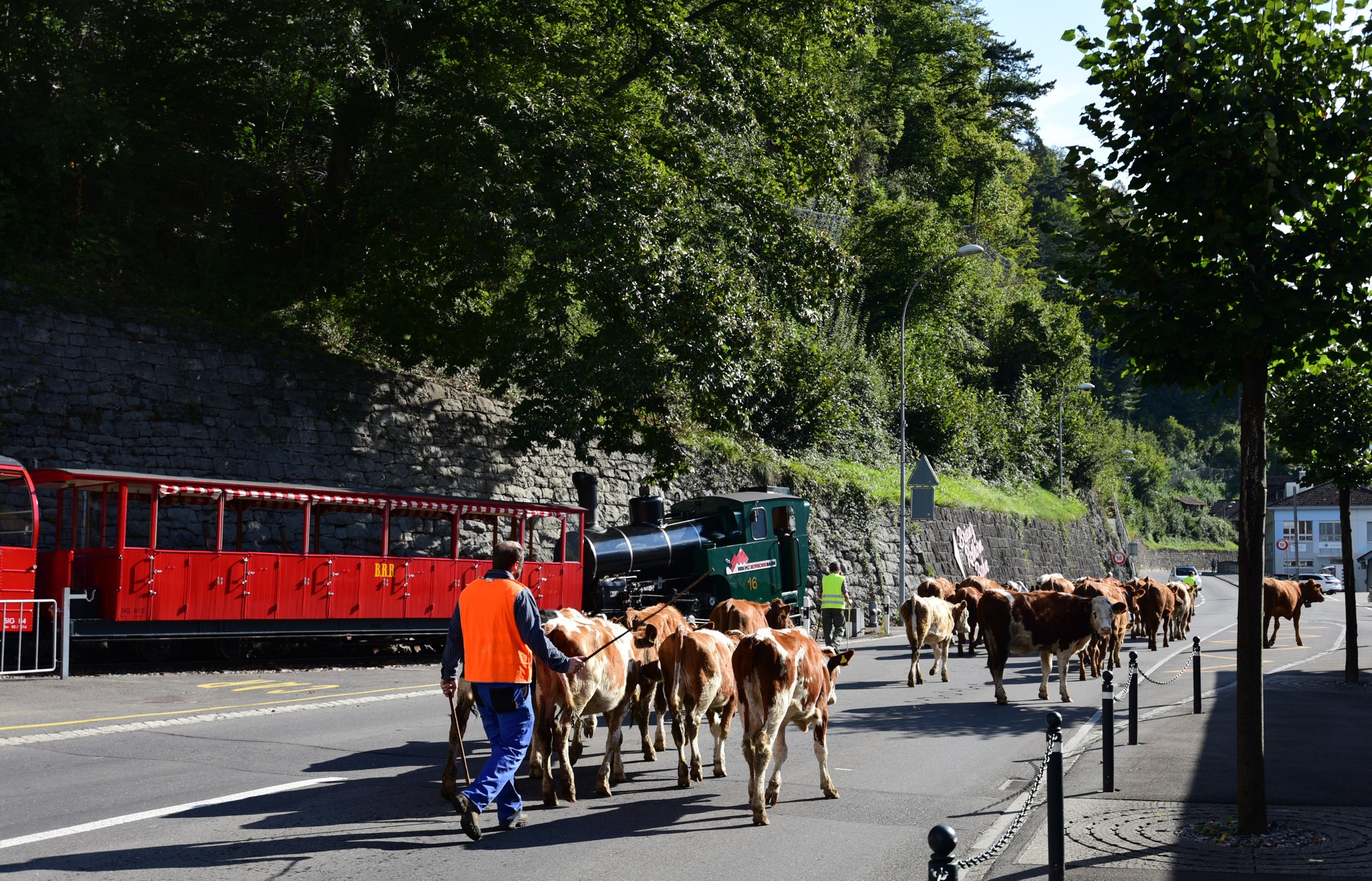 45123576_2110779602584360_8169166644694745088_o