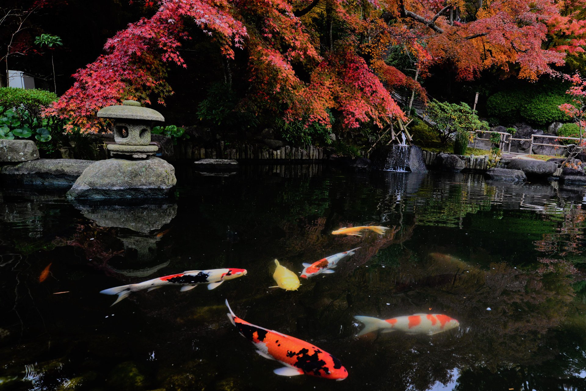 45182029_2110157369313250_6472143440191684608_o