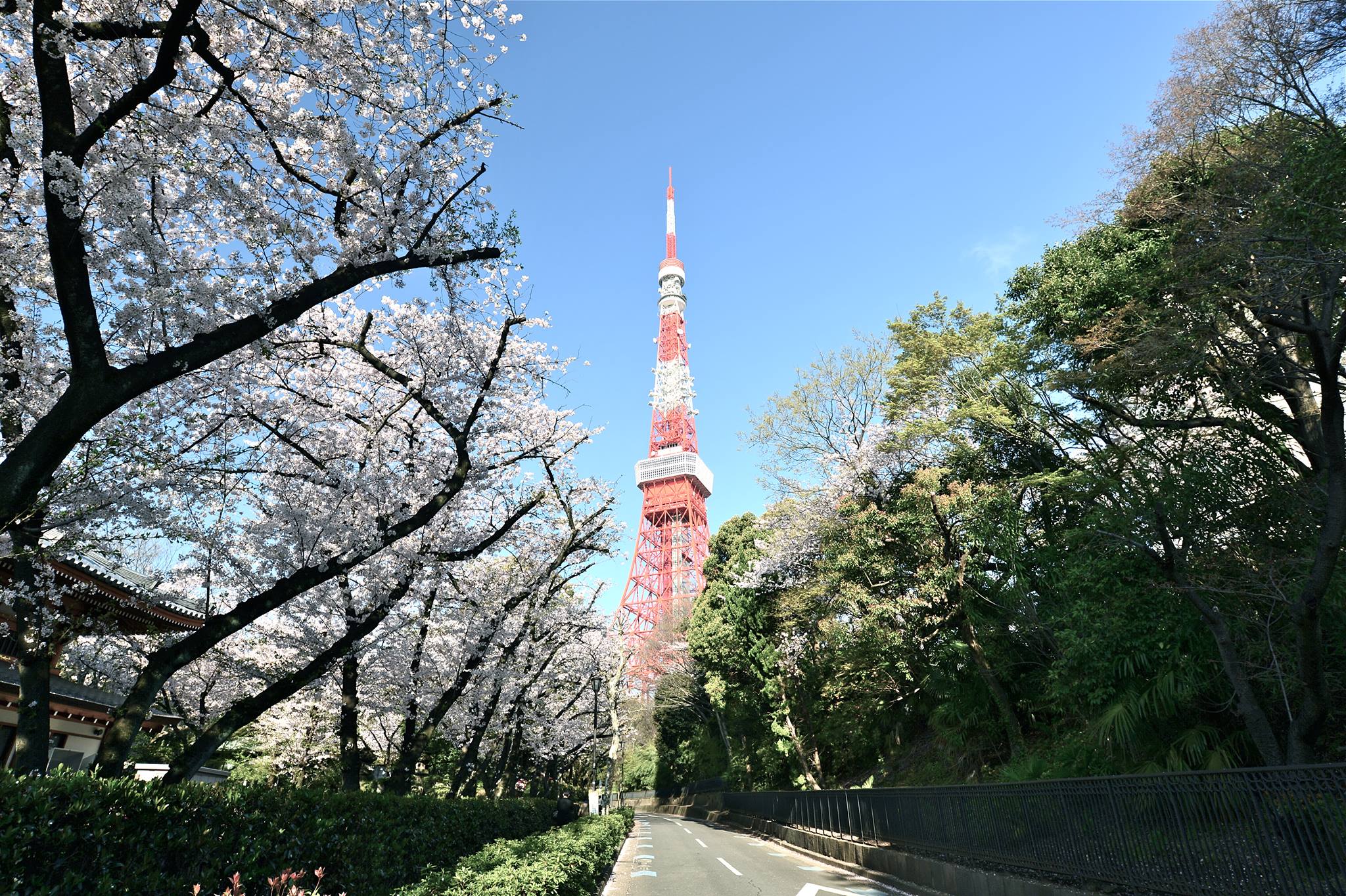 12322773_888730117891686_3519840414867590940_o