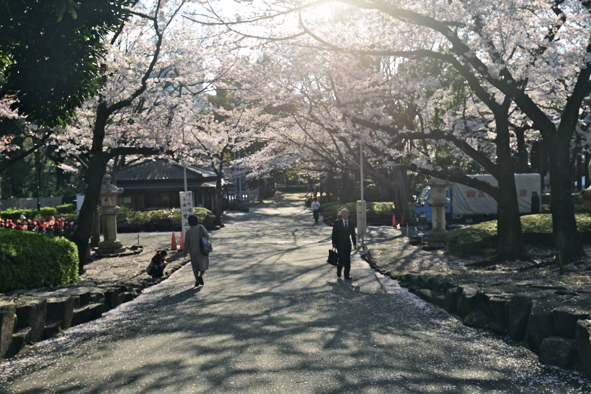 12697465_888737847890913_2729247860885406092_o