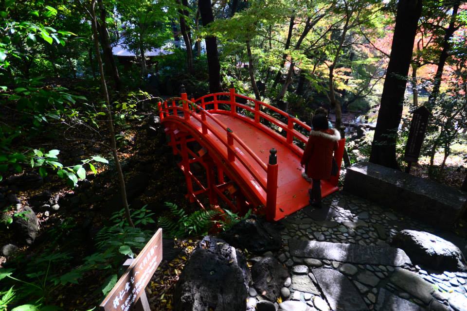 1431960496-1101767713-o