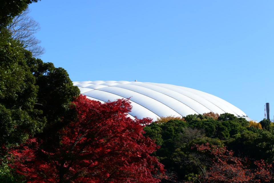 1431960568-1125553713-o