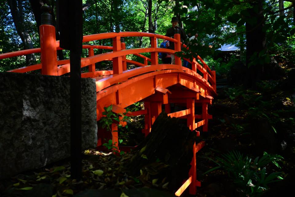 1431963546-1517941139-o