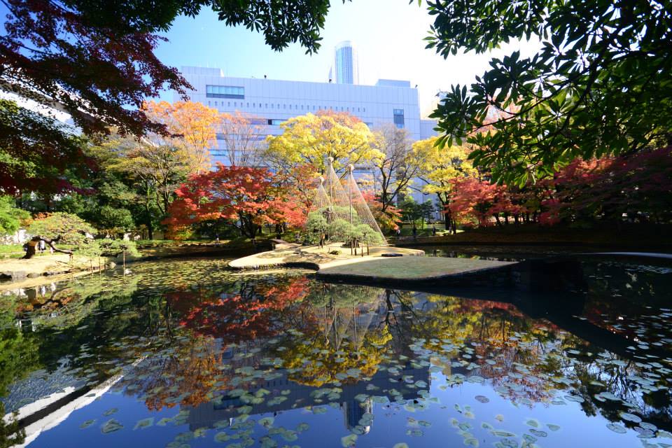 1431963631-1042325813-o