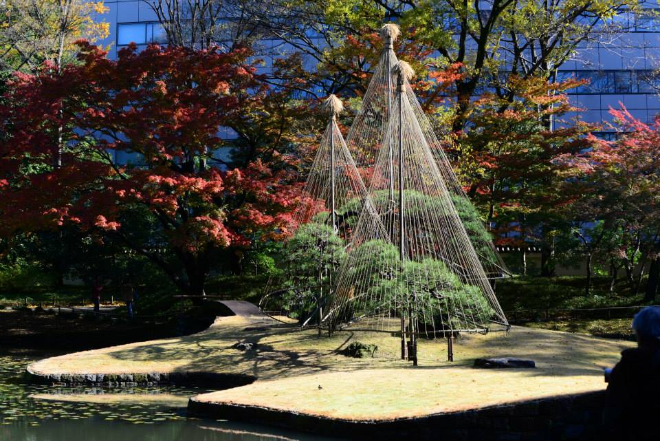 1431963852-1126773613-o