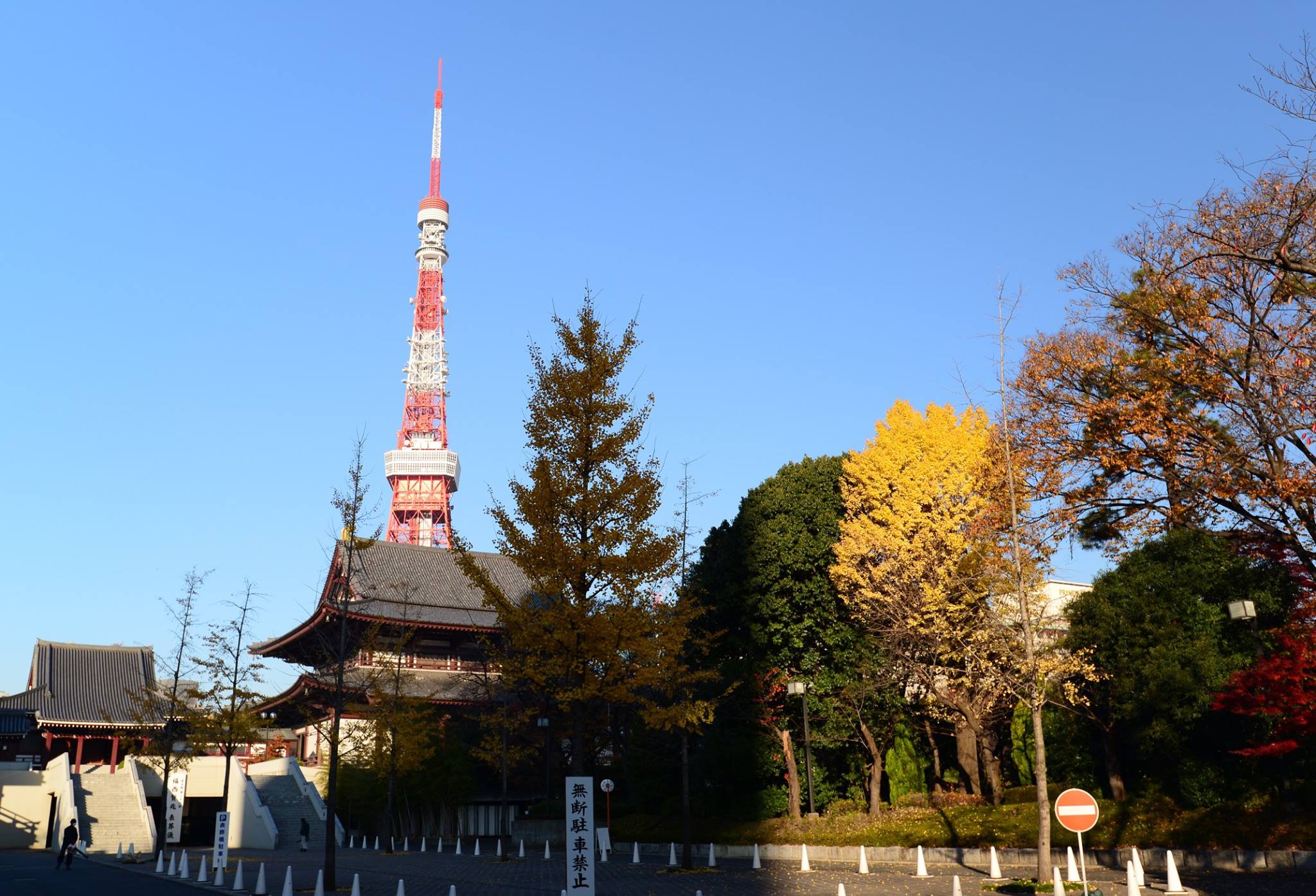 45502897_2115861958742791_4718845074505465856_o