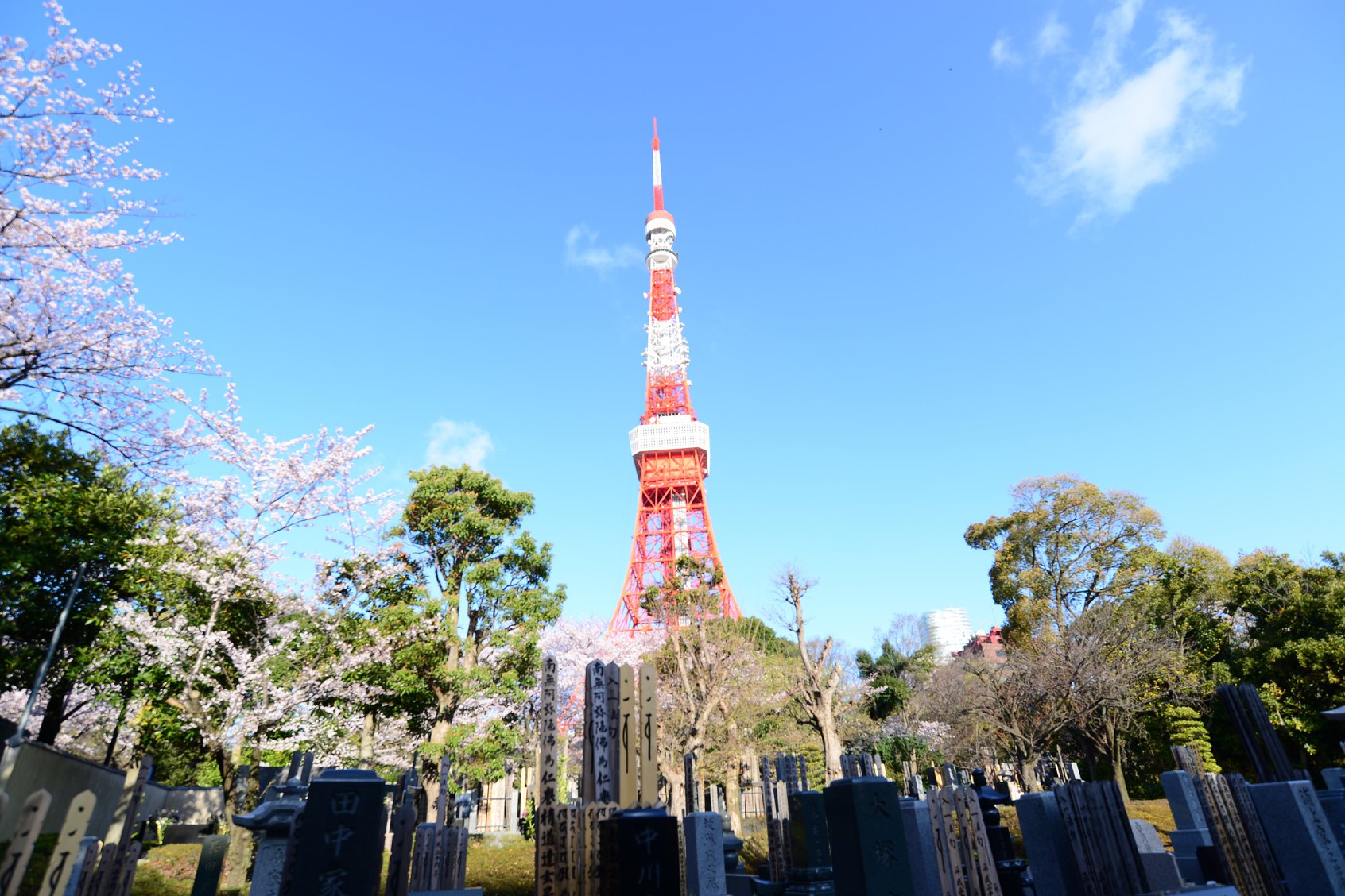 45577814_2115865918742395_4969812275742375936_o