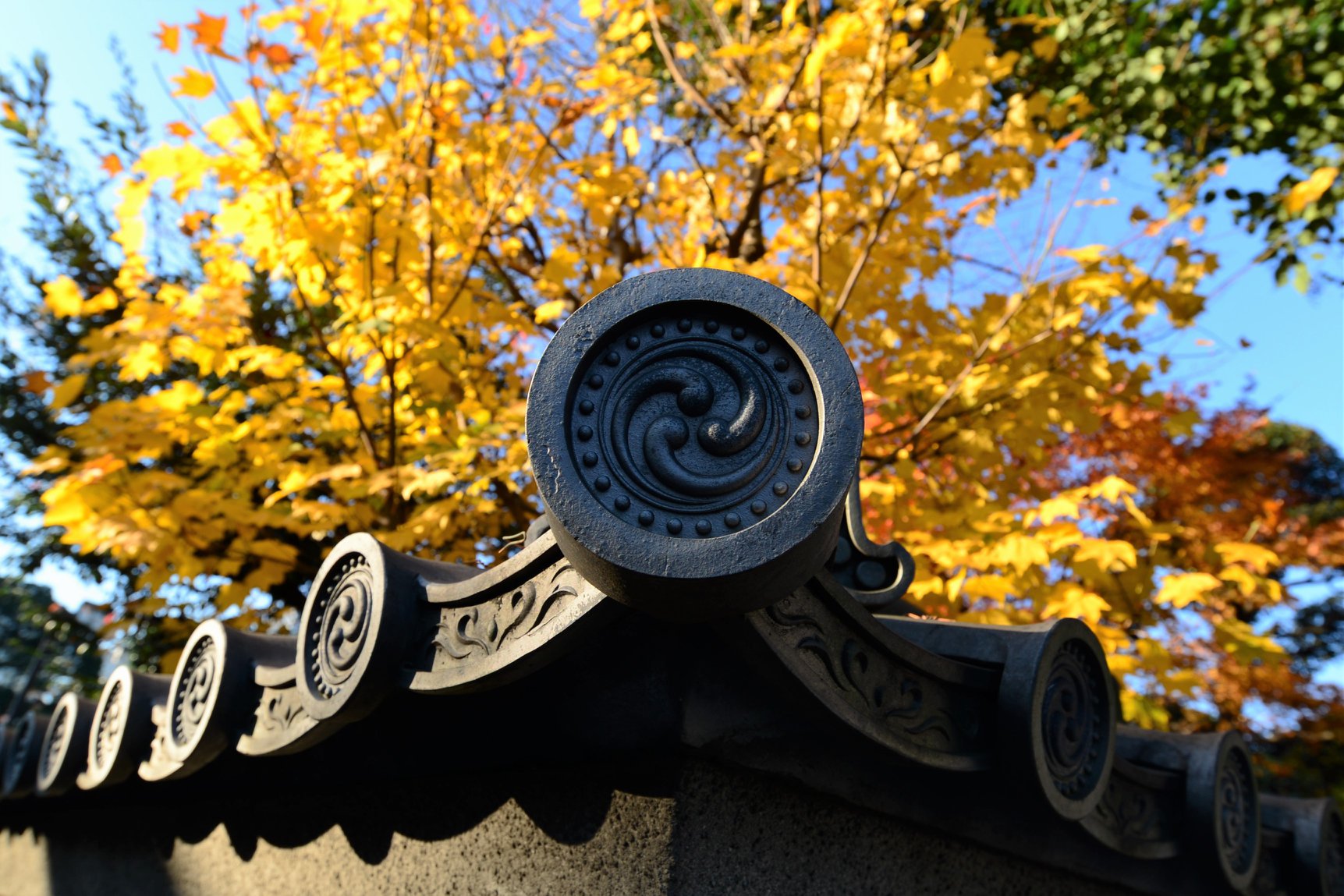 45624434_2115862062076114_2720289082486816768_o