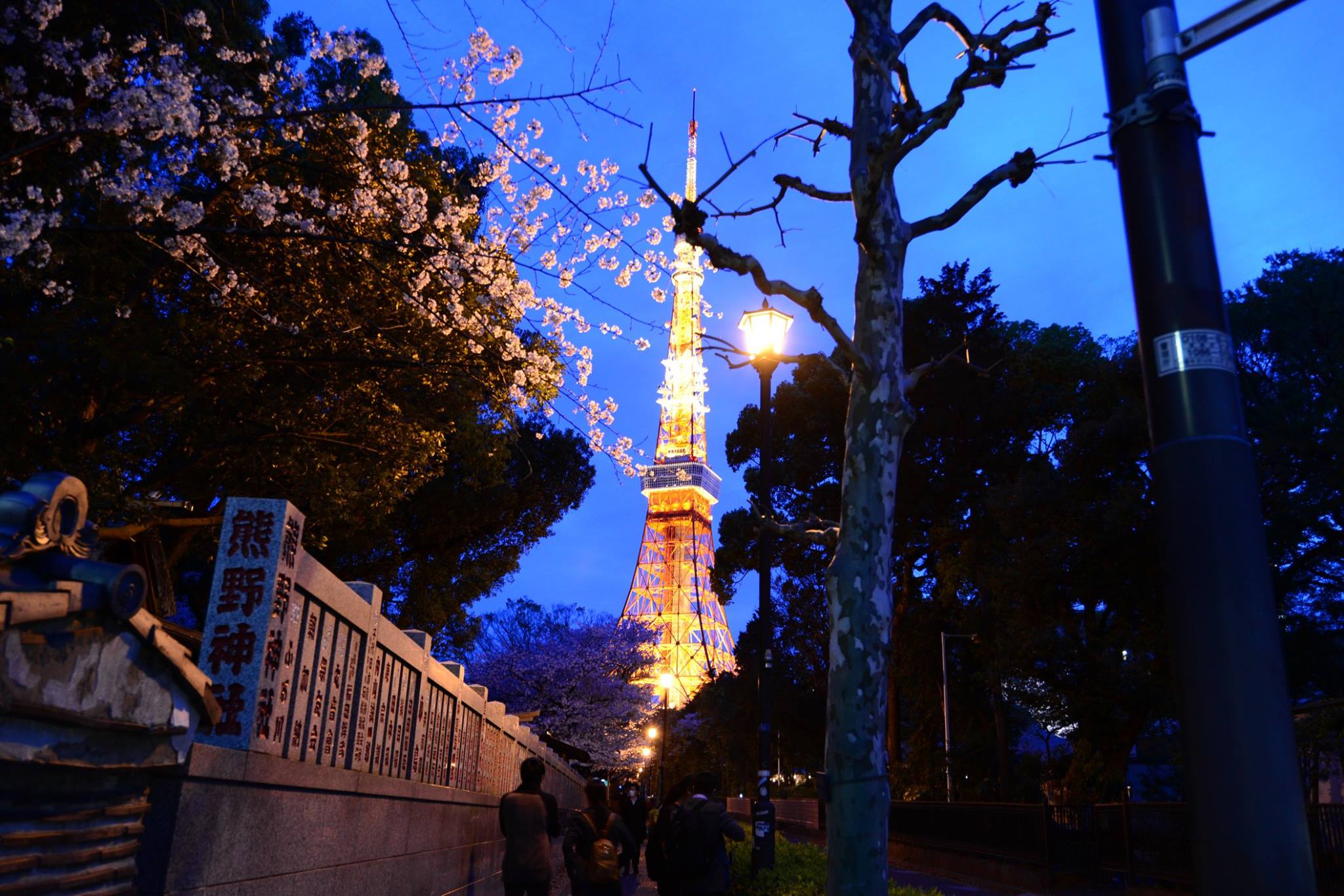 45628932_2115862228742764_4326976497551147008_o