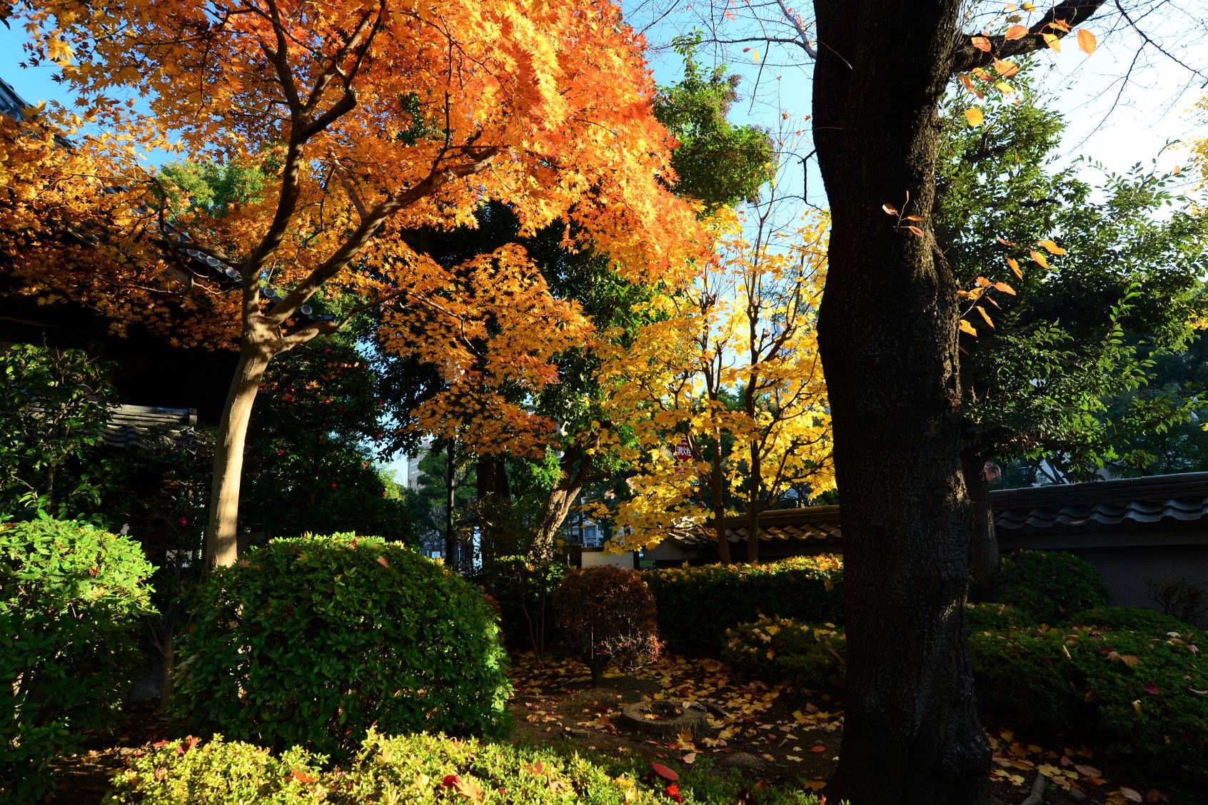 45634194_2115861992076121_9185354008552800256_o