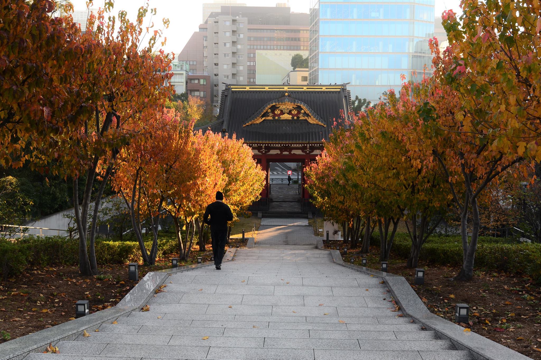 45636474_2115861902076130_3038813512244658176_o