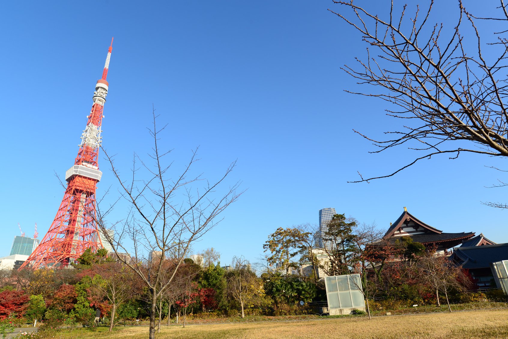 45698879_2115861868742800_9180053954485026816_o