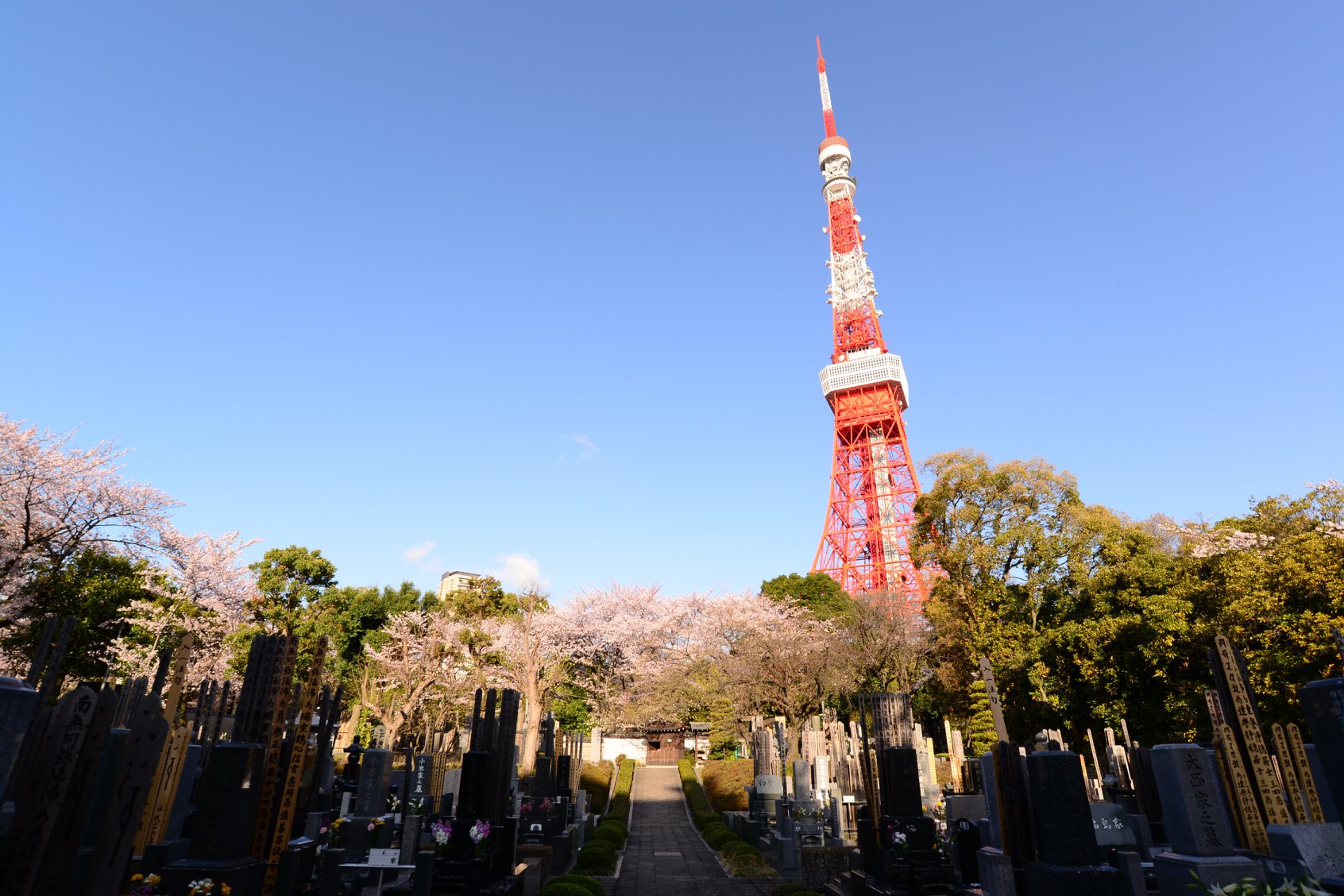 45713895_2115865885409065_7492391042793078784_o