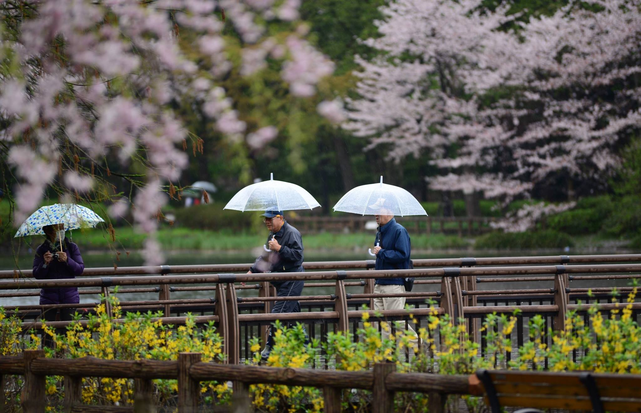 45801844_2117860551876265_2739131005230120960_o