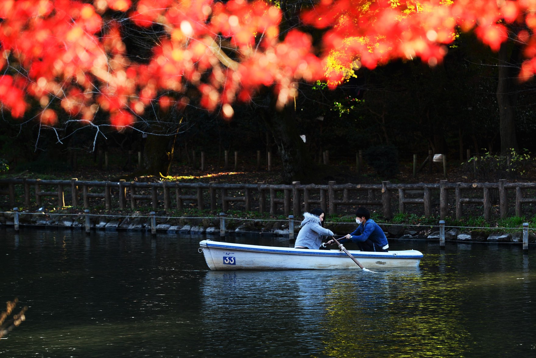 45847596_2117861135209540_5436443404252741632_o