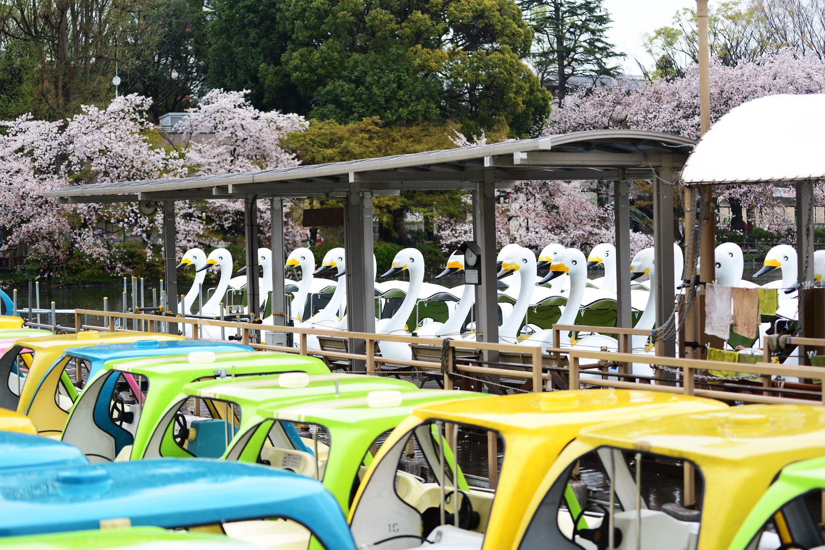 45882038_2117860445209609_6993610550768828416_o