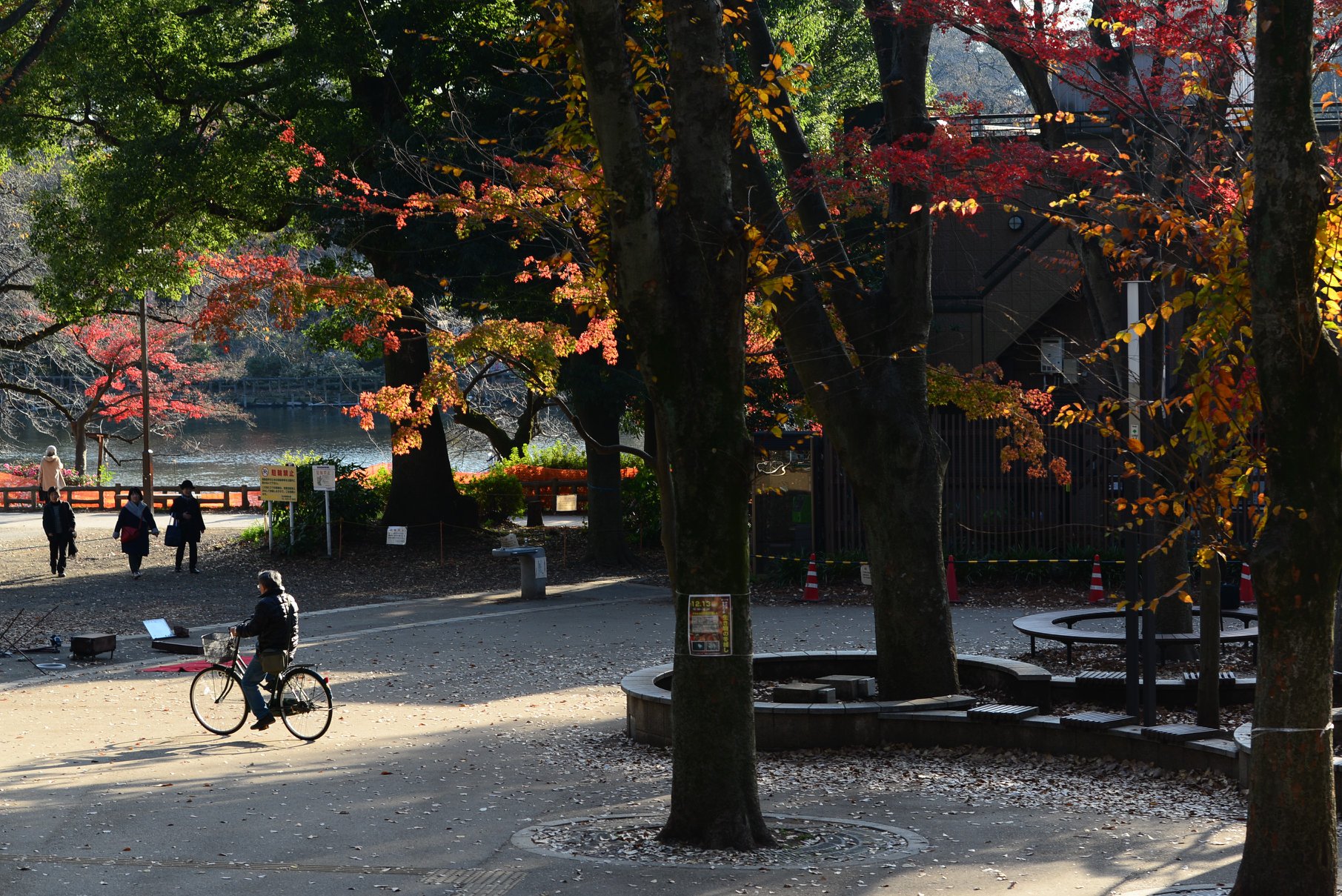 45891258_2117860811876239_6665412561875238912_o