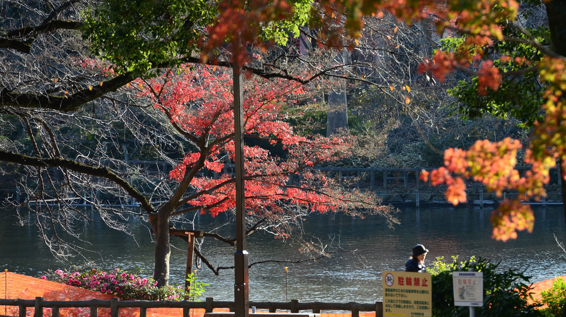 45919571_2117860845209569_3334247635178487808_o