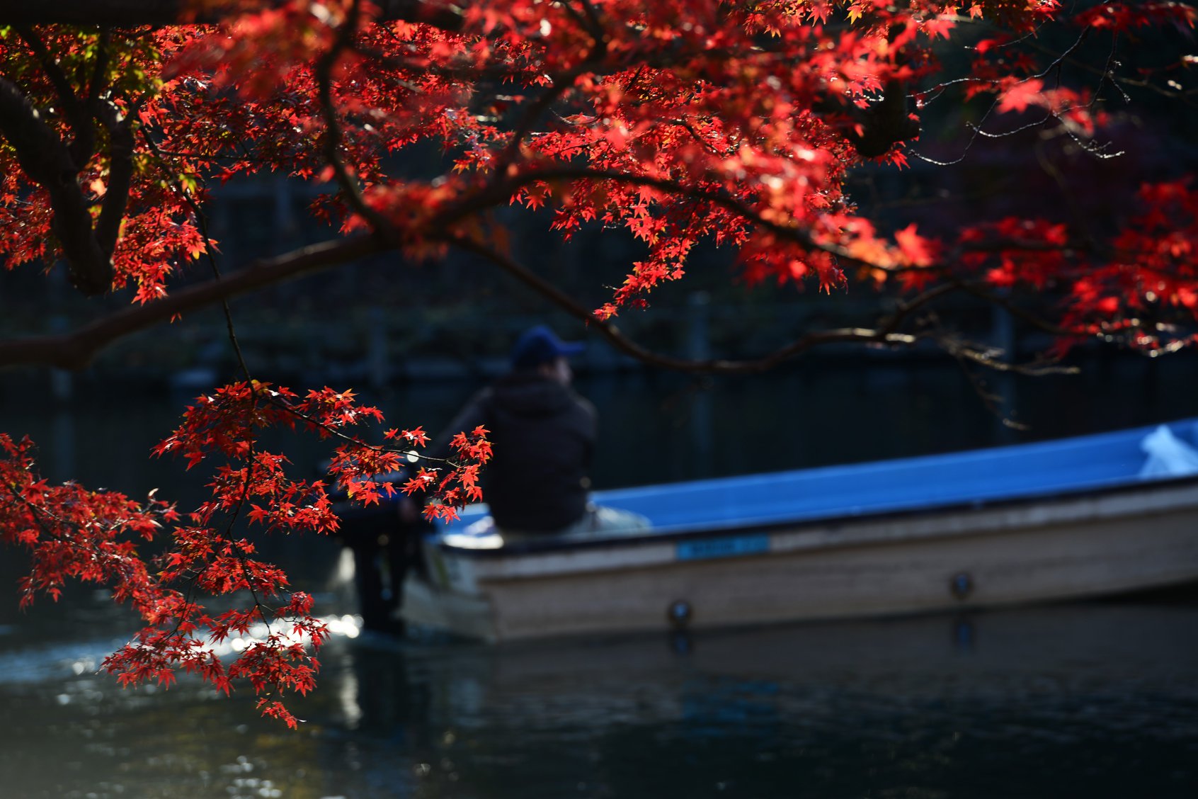 45942159_2117860901876230_878483372249186304_o