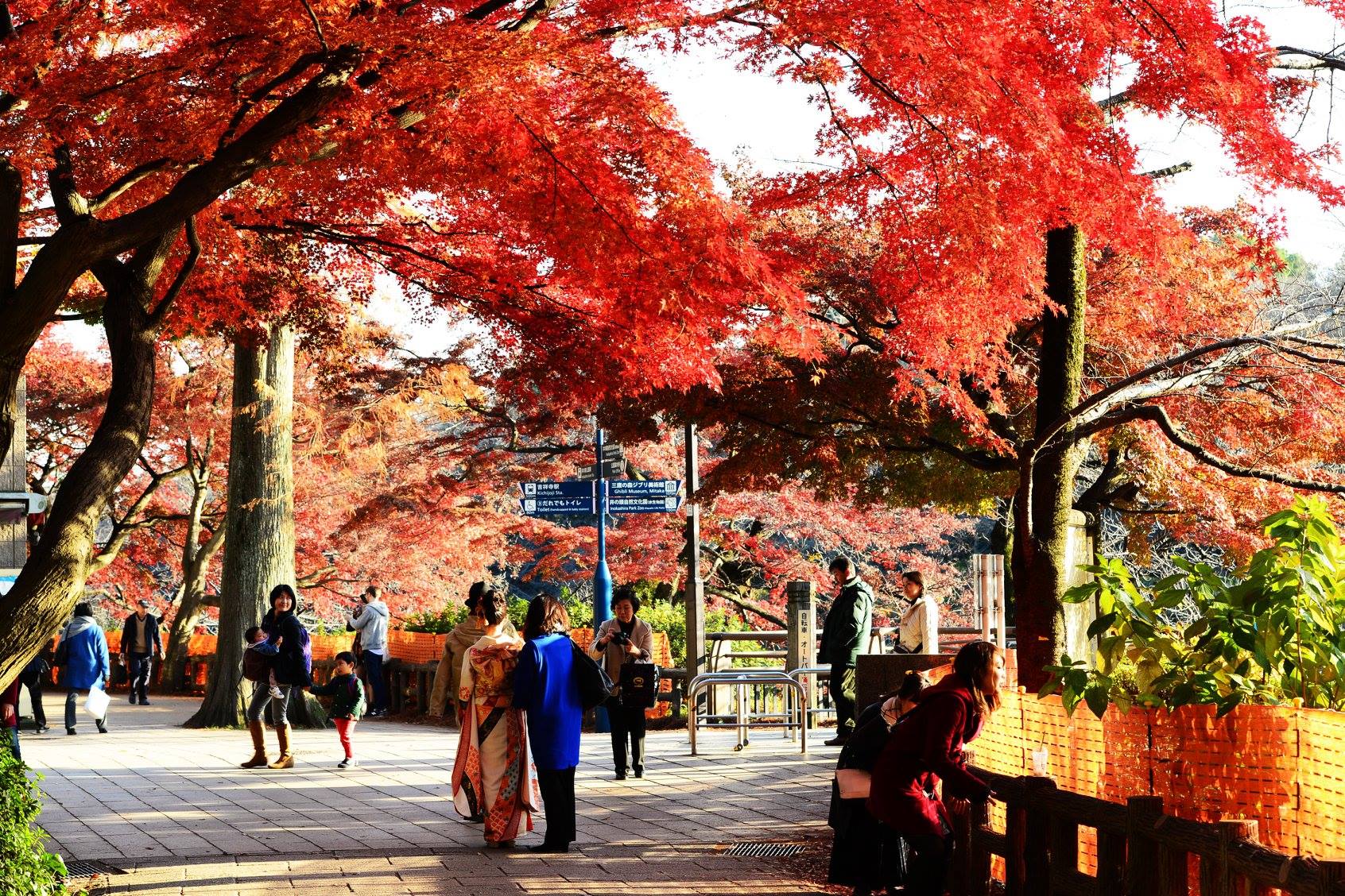 45954251_2117861215209532_8707565465540493312_o