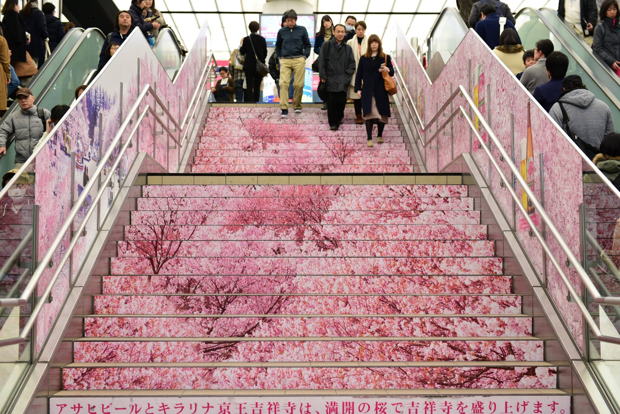 45965129_2118546295141024_8773550718851219456_o