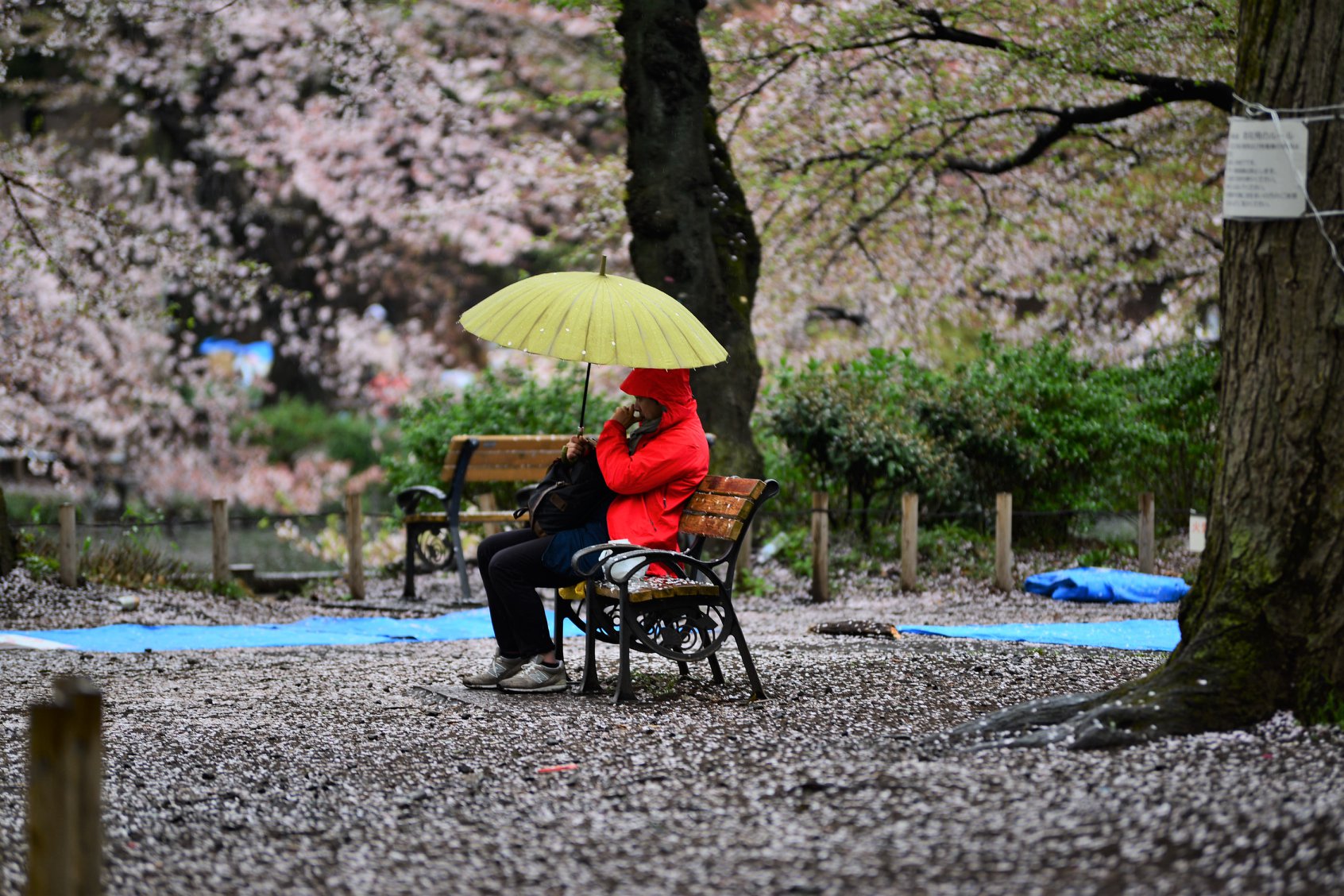 46053381_2117860621876258_4107807821129580544_o