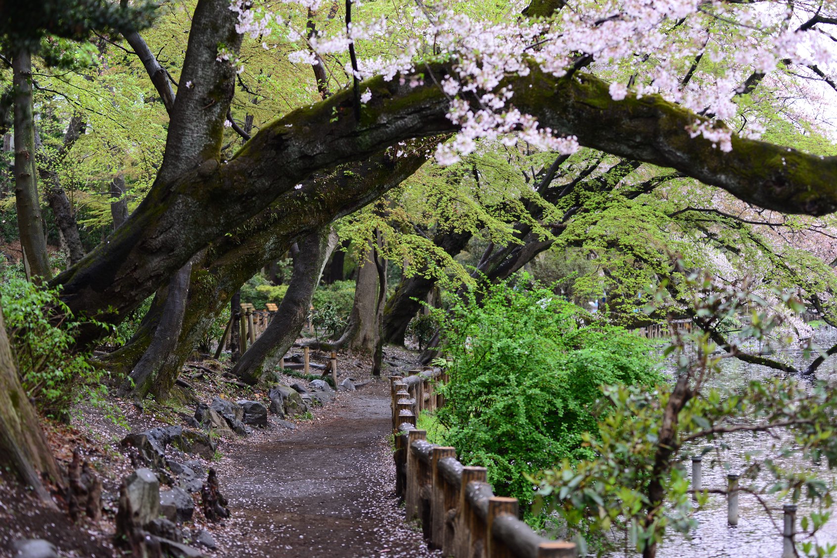 46056225_2117860661876254_4596964541278978048_o