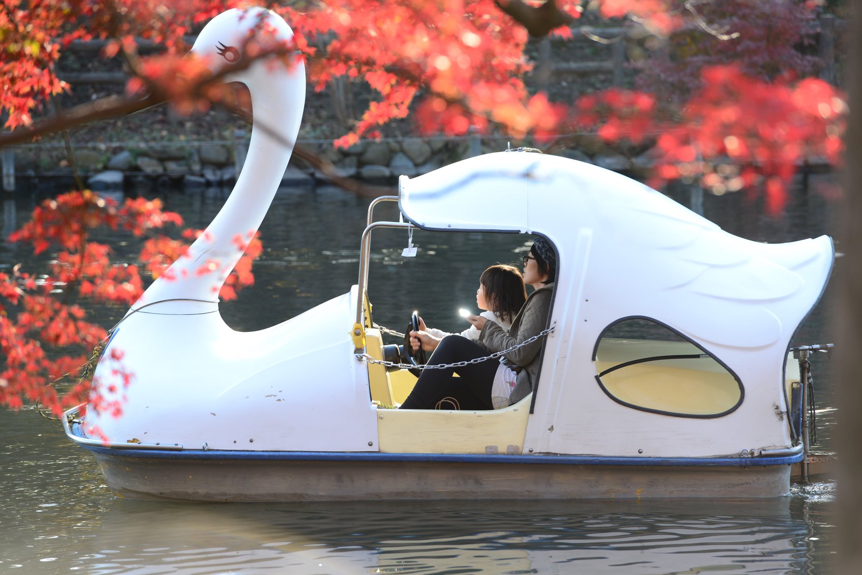 46074305_2117860945209559_8426941798592544768_o