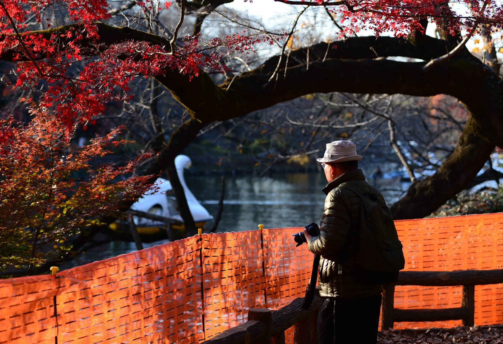 46104934_2117861085209545_2781279344666869760_o