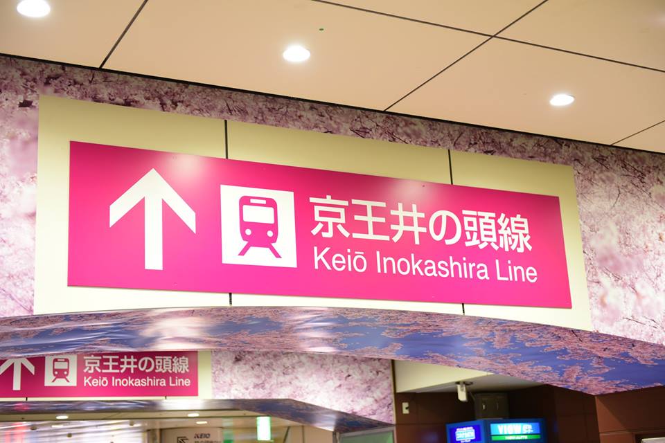 46156407_2118546238474363_2249543740379103232_n