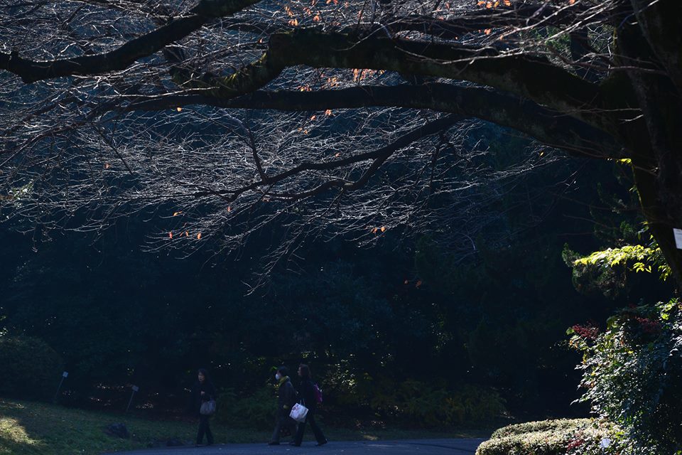 nzplfhmv9VXRyK8NBQ4-o